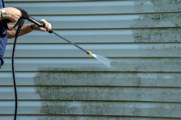 Professional Pressure Washing in Luling, LA